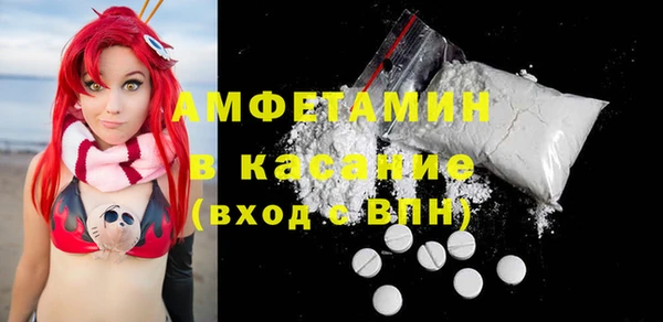 индика Алексин