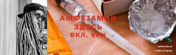 индика Алексин