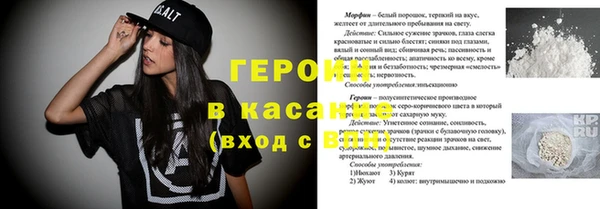 индика Алексин