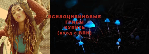 стаф Алзамай