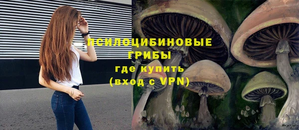 стаф Алзамай