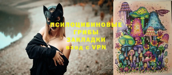 стаф Алзамай