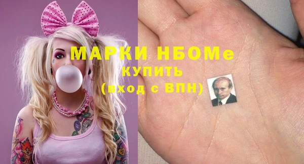 индика Алексин