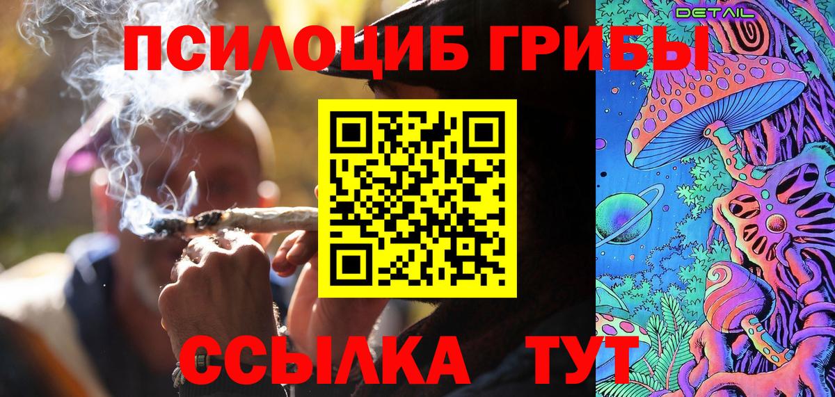 Псилоцибиновые грибы мицелий Кондопога