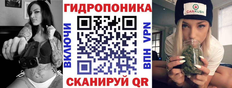 купить  цена  darknet официальный сайт  Конопля AK-47  Кондопога 